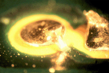 Figure 1: This lifted pad occurred during handling, right after wave soldering Figure 1: This lifted pad occurred during handling, right after wave soldering